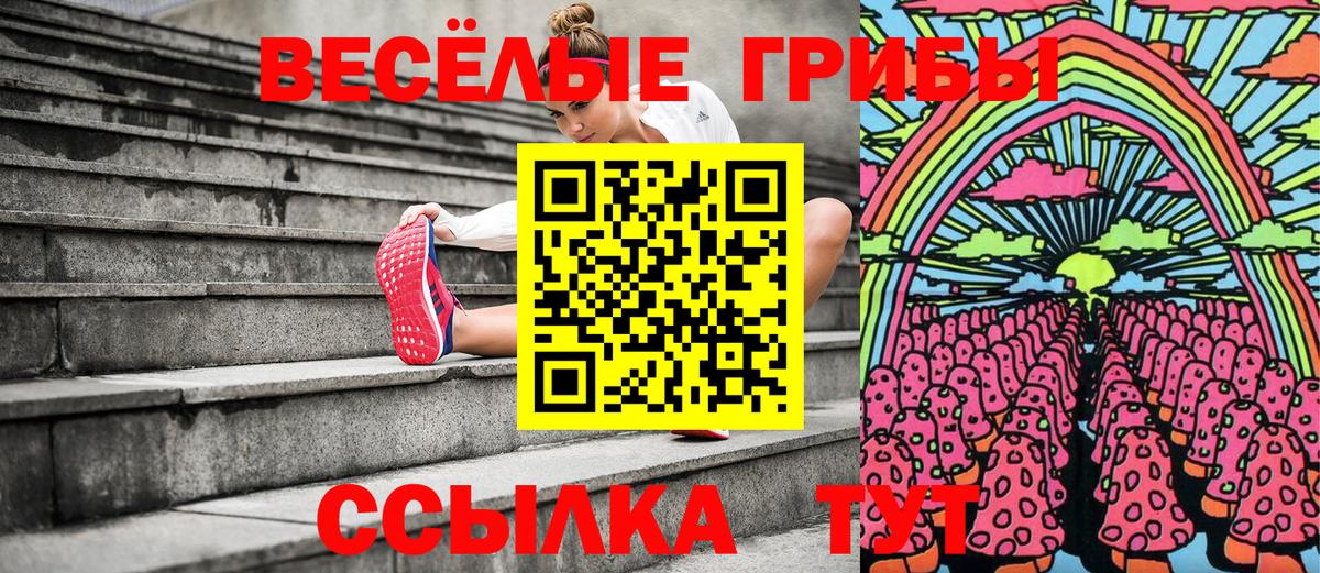Псилоцибиновые грибы GOLDEN TEACHER  Вход с VPN  Галлюциногенные грибы ЛСД  Электросталь 